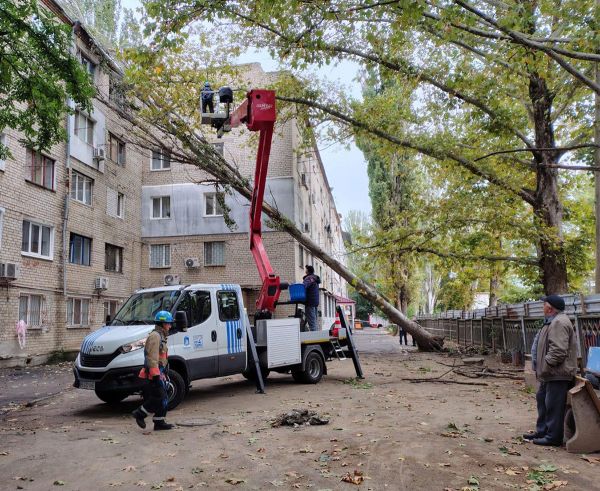 Сильный ветер в Николаеве повалил девять деревьев (фото)