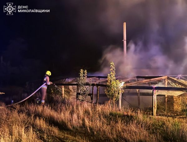 Из-за падения российского дрона в Баштанском районе у людей сгорело сено. Фото