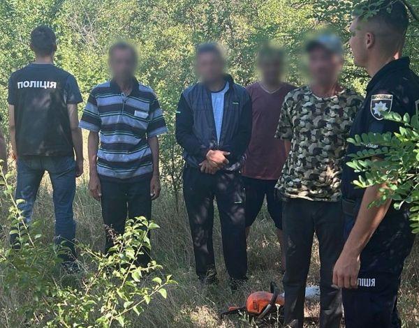 В Николаевском районе задержали банду браконьеров, которая полгода пилила деревья в лесополосах