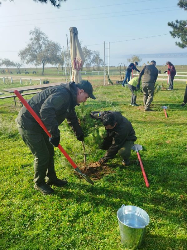 В урочище возле Николаева высажены две сотни молодых деревьев