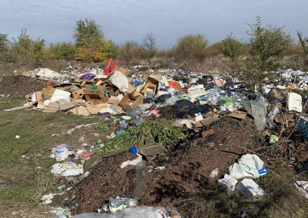 На Николаевщине лес возле Грушовки превратили в огромную свалку