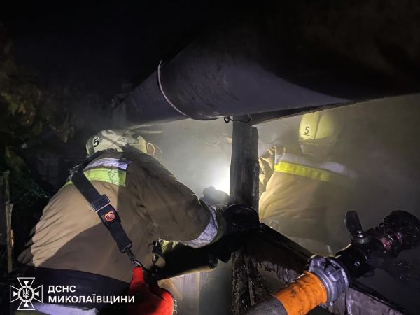 В Николаевской области у реки подожгли камыш