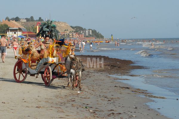 Кусок морского побережья на Николаевщине вернули государству: сначала он был «пастбищем», а стал землей под ресторан