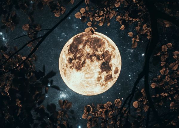 Бобровое суперлуние 2025: над Украиной взойдет самая яркая Луна осени