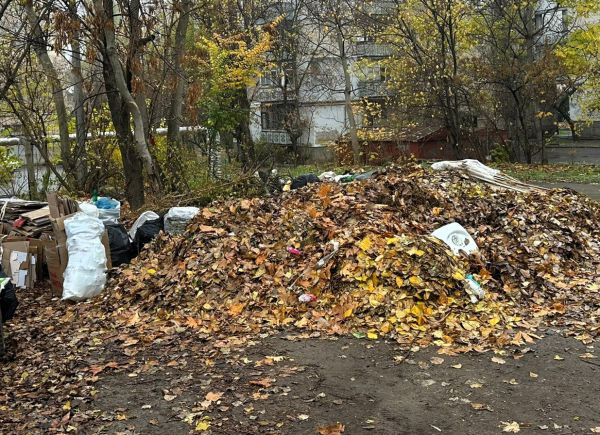 В Николаеве горожане за пару дней превратили кучу опавших листьев в стихийную свалку: вмешалась экоинспекция