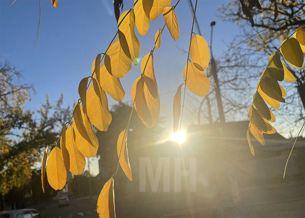 На Николаевщине самый теплый день за 30 лет сменился холодом за несколько часов