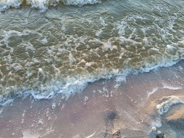 На Бугском лимане в Николаеве заметили чёрную плёнку: опубликованы результаты анализа воды