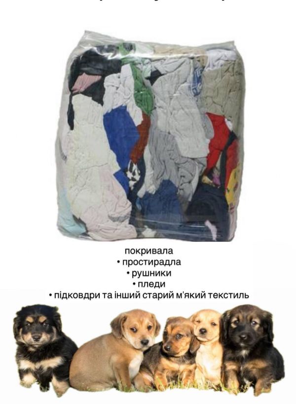 В Николаевском центре защиты животных собирают на зиму подстилки для собак и кошек