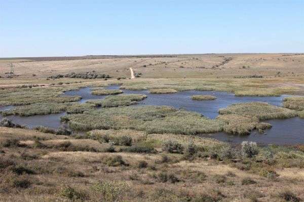 Николаевская полиция разоблачила сделку семилетней давности на четверть миллиона в заповеднике «Тилигульский»