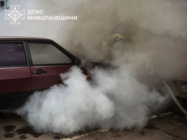В Николаевской области пожарные потушили горящую «девятку»