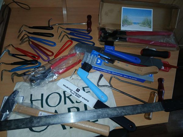 Шведы привезли в Николаевский зоопарк инструменты по уходу за копытами