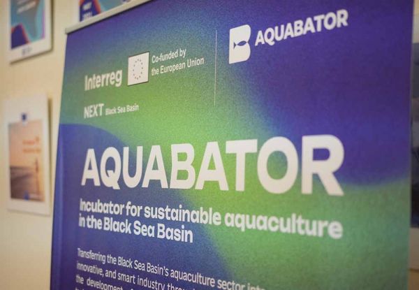 В Николаеве появится смарт-акваферма: рыбу будут выращивать без вреда для природы