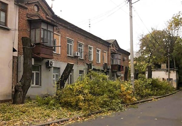 В Николаеве опять спилили деревья: в этот раз на 9-й Слободской