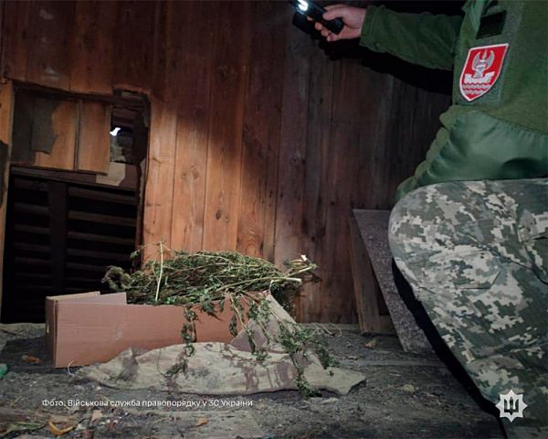 В воинской части в Николаеве обнаружили заготовленную коноплю для распространения среди личного состава