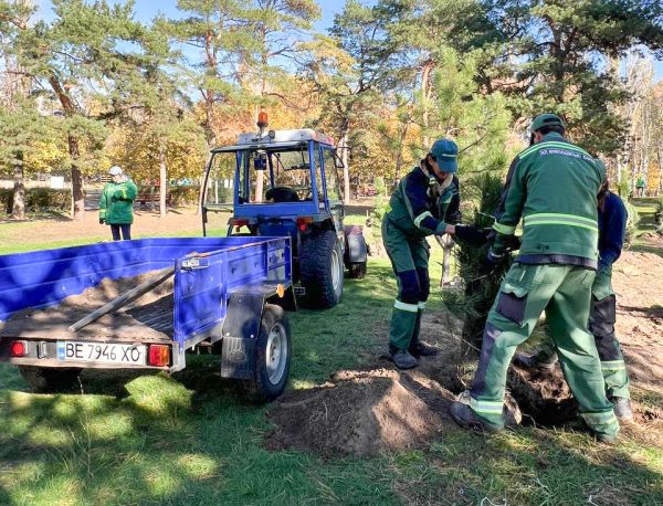Осеннее озеленение Николаева: обещают высадить более 300 деревьев