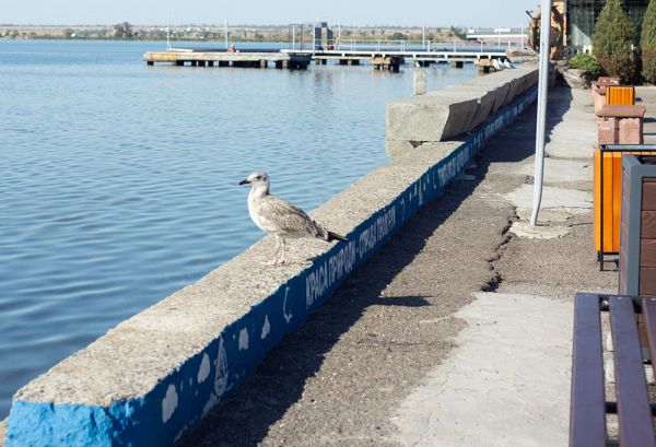 В Николаевском яхт-клубе установили 7 лавок с видом на реку — проект делали три месяца (фото)