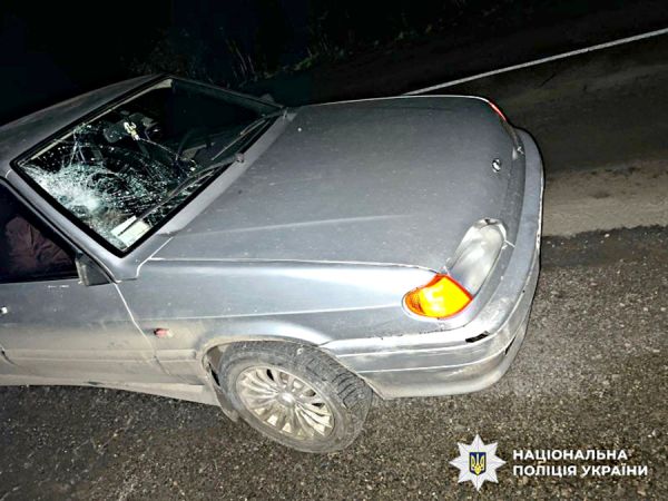 На Николаевщине пешехода, переходившего дорогу в темноте в неположенном месте, сбил ВАЗ