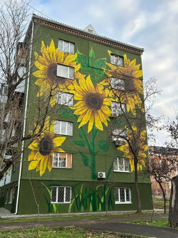 В Николаеве на фасаде разрушенного дома появились подсолнухи. Фото