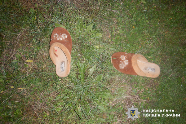 Попросил воды, а потом изнасиловал: под Николаевом 22-летний парень напал на соседку