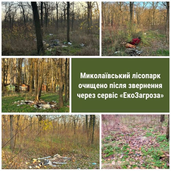 В Николаеве экологические инспекторы заставили подчиненных мэра Сенкевича убрать свалку в лесопарке