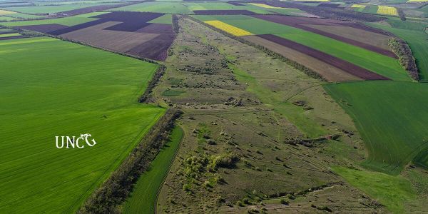 В Николаевской области узаконили 127-гектаров «Степного клина»