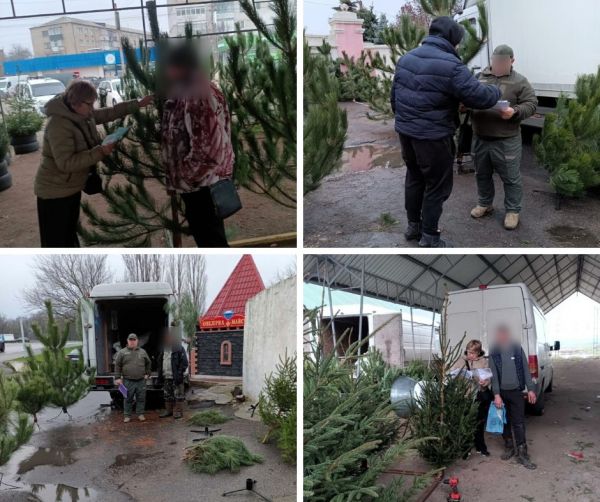 В Николаевской области торгуют новогодними елками без штрихкодов. Фото