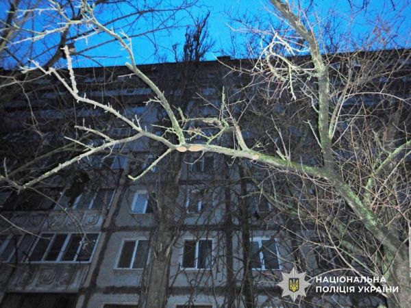 В Николаеве 19-летняя девушка выбросилась с девятого этажа – задержали 24-летнего хозяина квартиры