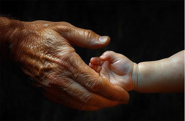 Демографический кризис: в Николаевской области смертность почти в 4 раза превысила рождаемость