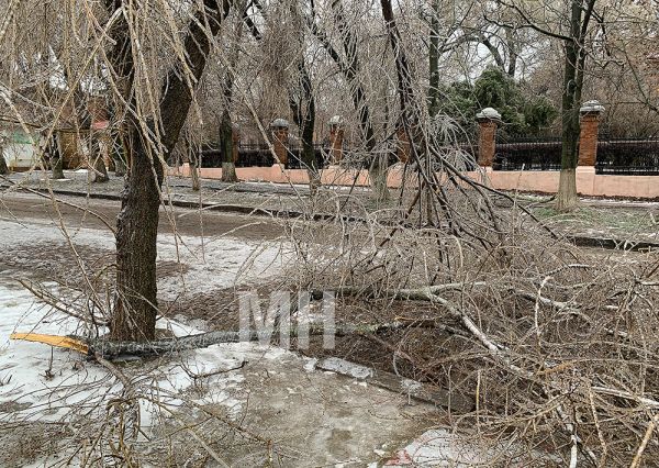 На Николаевщину надвигается снегопад при штормовом ветре: объявлен желтый уровень опасности