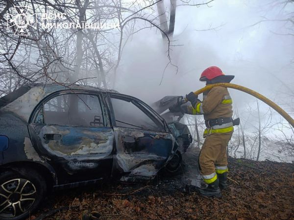 Крыша дома, авто, хозяйственная постройка – где прошел огонь в Николаевской области