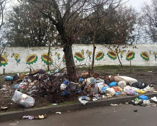 В Николаеве заставили администрацию Центрального района убрать возле школы мусорную свалку
