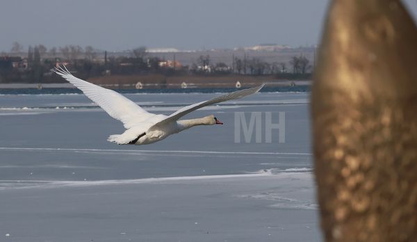 Зимняя сказка на 1424-й день войны: красота замерзшего Николаевского яхт-клуба (фото)