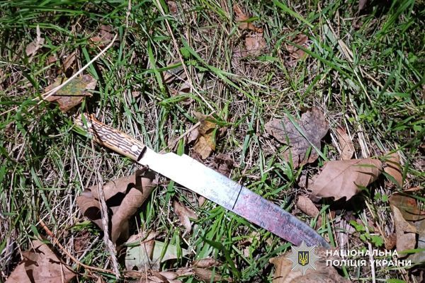 Пьяная ссора братьев в Николаеве закончилась убийством: дело передали в суд