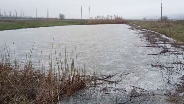 На Николаевщине промышленные отходы с переполненных полей фильтрации вылились на прилегающие земли