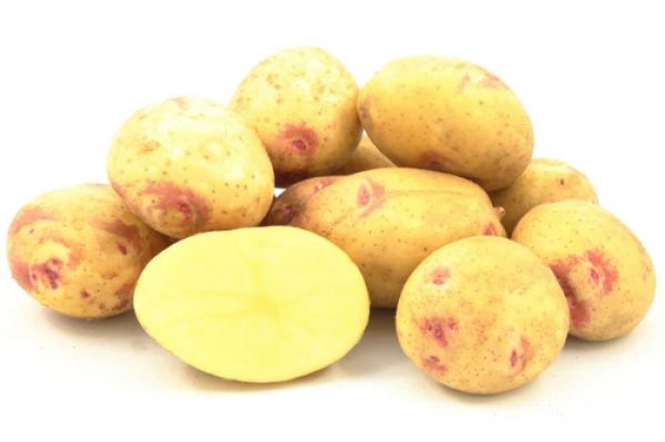 Искусство выращивания картофеля: от подготовки клубней до богатого урожая