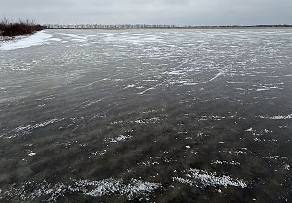 На Николаевщине поля превратились в ледяные озера: урожай озимых под угрозой гибели