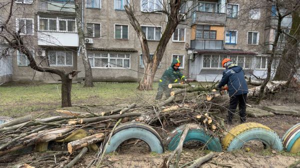В Николаеве падают деревья