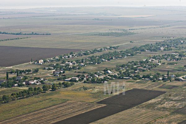 В Николаевской области осталось всего 6 крупных компаний-землевладельцев