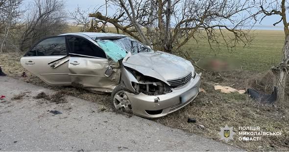Возле Рыбаковки «камри» врезалась в дерево – погибла пассажирка