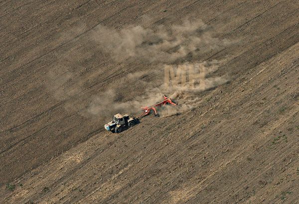 В Николаевской области выставили на торги 47 га под аренду: во сколько оценили гектар