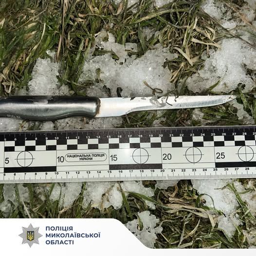 В Николаевской области 21-летний парень подрезал своего сверстника и изнасиловал 60-летнюю женщину