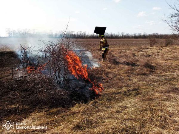 В Николаевской области за прошедшие сутки снова выжигали сухостой и камыш