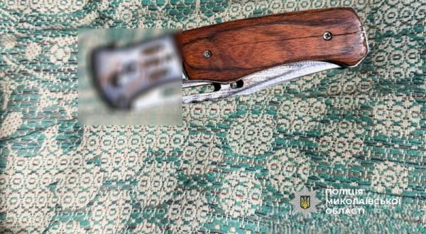 Под суд отдали мужчину, который на даче в Николаевском районе чуть не убил приятеля