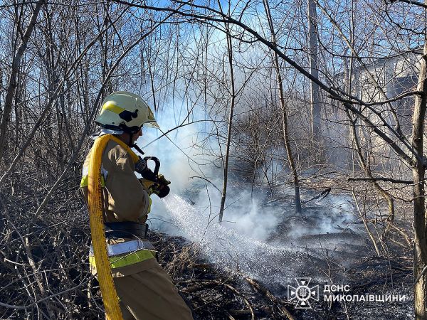 В Николаевской области за сутки произошло четыре пожара в экосистемах