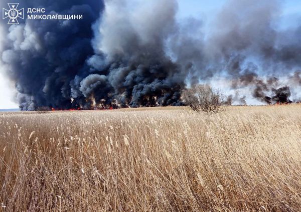 Поджигатели устроили в Николаевской области пожары на площади 13 гектаров