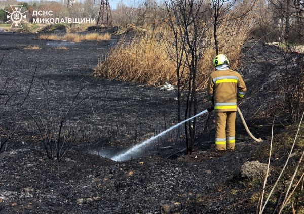 Огромное черное пятно в парке: в Николаеве за считанные минуты огонь уничтожил гектар растительности
