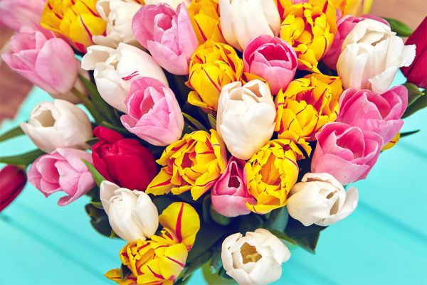 Цветочный десант в окна роддома: в Николаеве молодых мам поздравили с автовышки (видео)