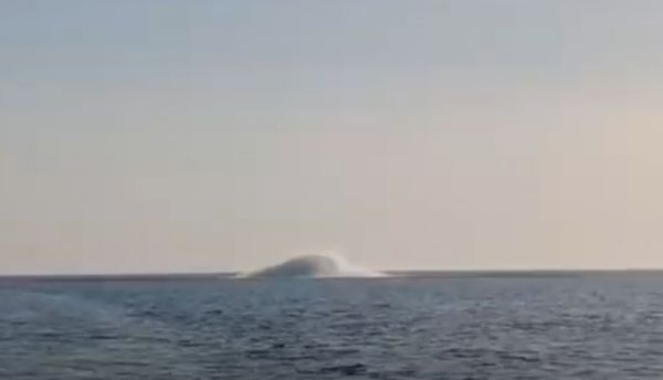 В Черном море на 20-метровой глубине военные водолазы подорвали четыре противокорабельные мины