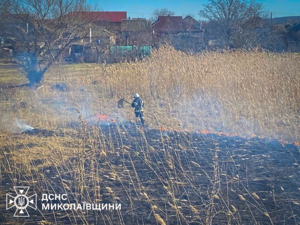 Поджигатели уничтожали экосистему Николаевщины – новые случаи
