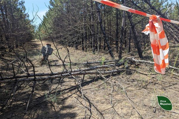 Ваш запрос Фронт работ на годы: в Баштанском районе разминировали всего 7 гектаров леса из 26 тысяч га